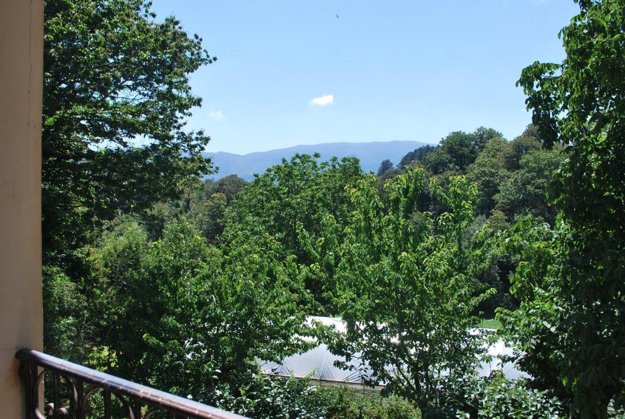 Agriturismo Roseto Villa Serra San Bruno Esterno foto